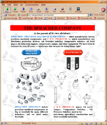 www.spracherprecision.com